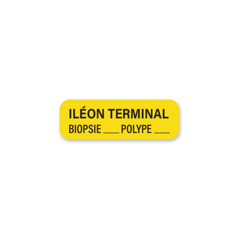 TERMINAL ILEUM