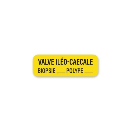 ILEO-CAECAL VALVE