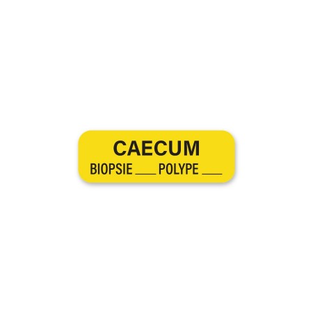CAECUM