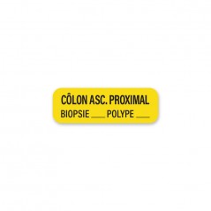 ASC COLON. PROXIMAL