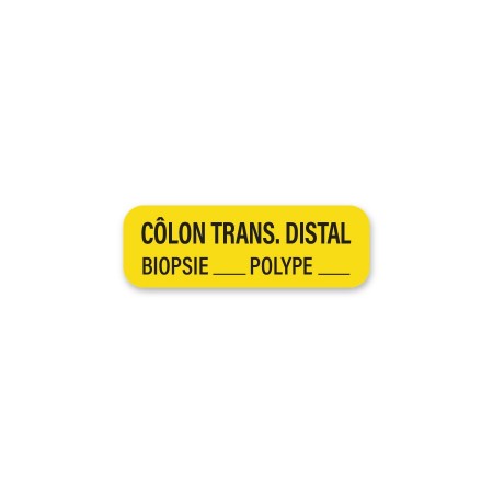 COLON TRANS. DISTAL