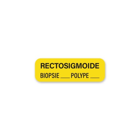 RECTOSIGMOIDE