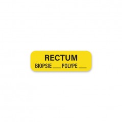 RECTUM