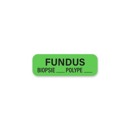 FUNDUS