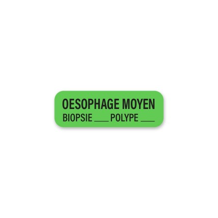 OESOPHAGE MOYEN