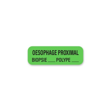 OESOPHAGE PROXIMAL